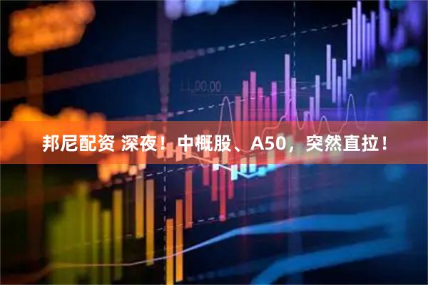 邦尼配资 深夜！中概股、A50，突然直拉！