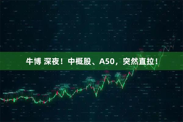 牛博 深夜！中概股、A50，突然直拉！