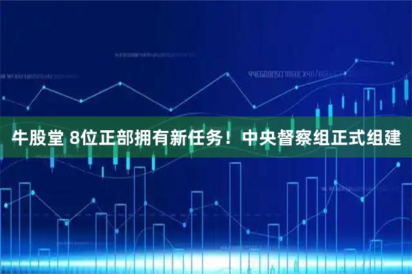 牛股堂 8位正部拥有新任务！中央督察组正式组建