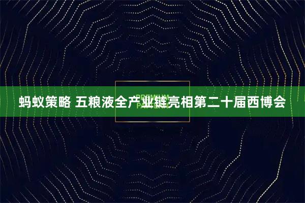 蚂蚁策略 五粮液全产业链亮相第二十届西博会