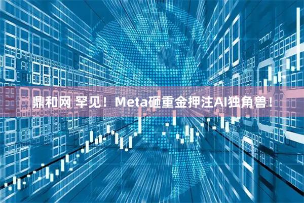 鼎和网 罕见！Meta砸重金押注AI独角兽！