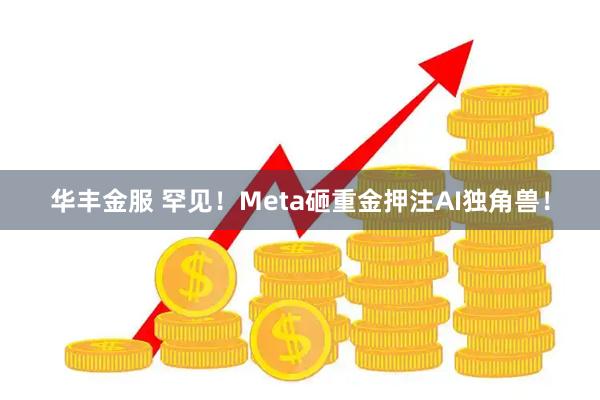 华丰金服 罕见！Meta砸重金押注AI独角兽！