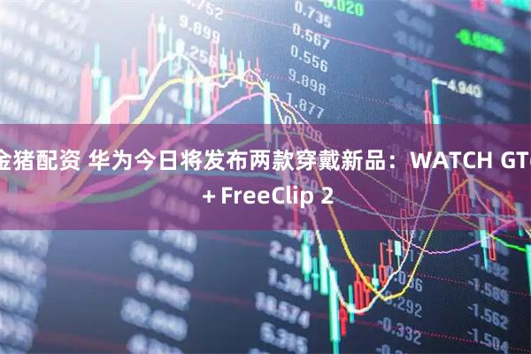 金猪配资 华为今日将发布两款穿戴新品：WATCH GT6＋FreeClip 2