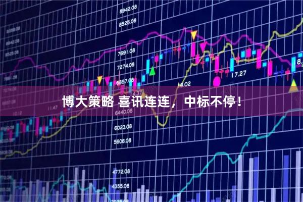 博大策略 喜讯连连,中标不停!