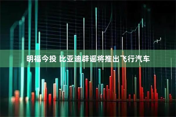 明福今投 比亚迪辟谣将推出飞行汽车