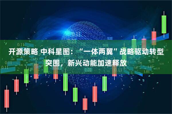 开源策略 中科星图：“一体两翼”战略驱动转型突围，新兴动能加速释放