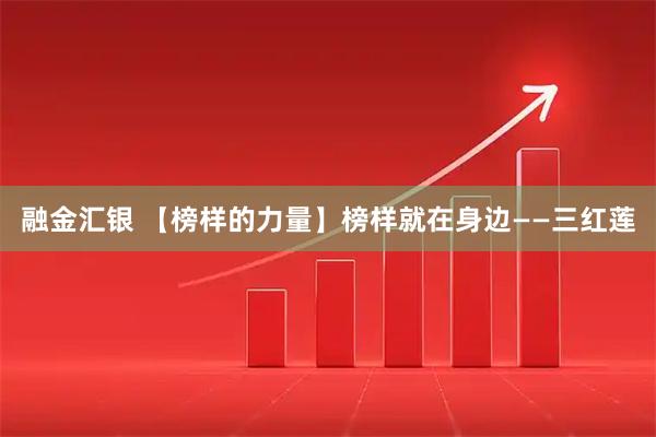 融金汇银 【榜样的力量】榜样就在身边——三红莲